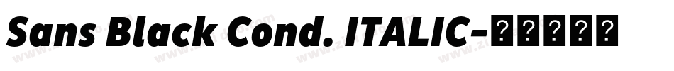 Sans Black Cond. ITALIC字体转换